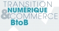 Etude Fevad : l'e-commerce BotB en France